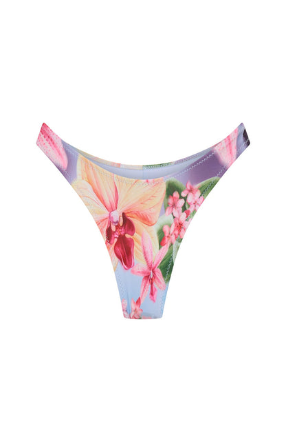 Belmont Bottoms Bluebelle Bliss